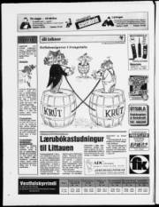 Síða 16