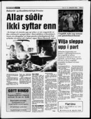 Síða 3