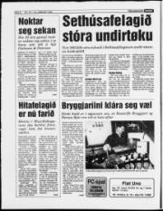Síða 8