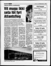 Síða 11