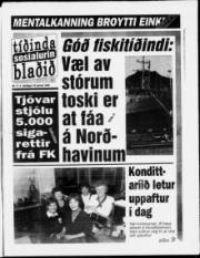 Síða 1