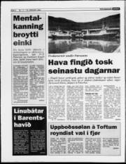 Síða 4