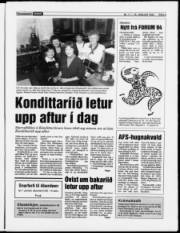 Síða 9