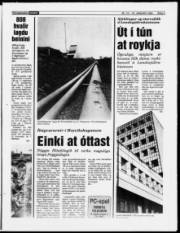 Síða 5