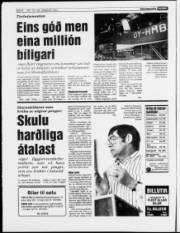 Síða 6