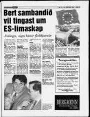 Síða 13