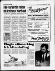 Síða 3