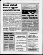 Síða 5