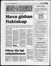 Síða 8