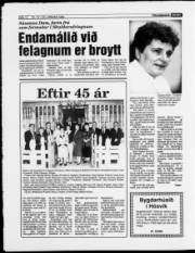 Síða 12