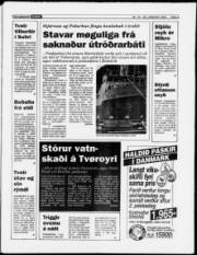 Síða 3