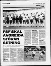 Síða 7
