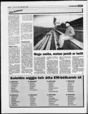 Síða 8