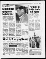 Síða 13