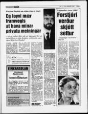 Síða 3