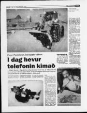 Síða 8