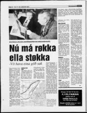 Síða 12