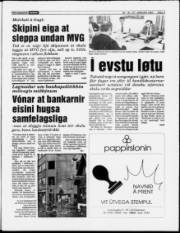 Síða 3