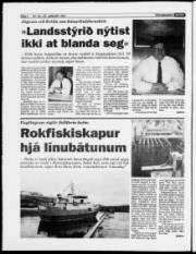 Síða 4