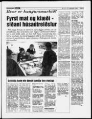 Síða 5
