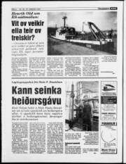Síða 6