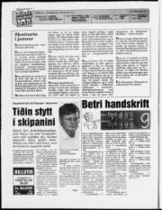 Síða 2