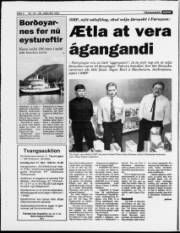Síða 4