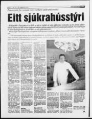 Síða 6