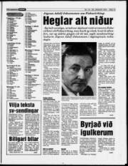 Síða 13