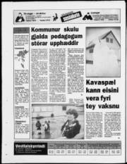 Síða 20