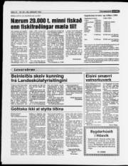 Síða 12