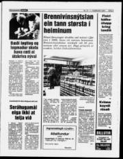 Síða 5