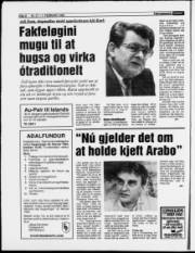 Síða 8