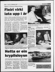 Síða 4