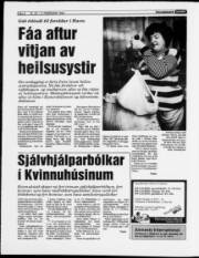 Síða 8