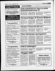 Síða 12