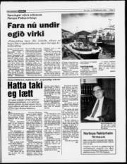Síða 3