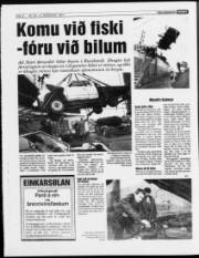 Síða 6