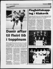 Síða 12