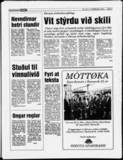 Síða 5