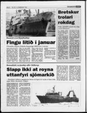 Síða 6