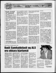 Síða 2