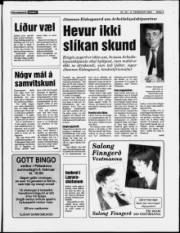 Síða 3