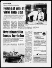 Síða 7