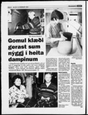 Síða 8