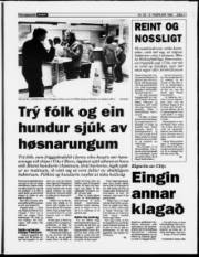 Síða 11