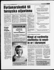 Síða 12