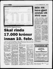 Síða 3