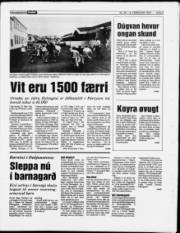 Síða 5