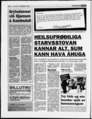 Síða 6